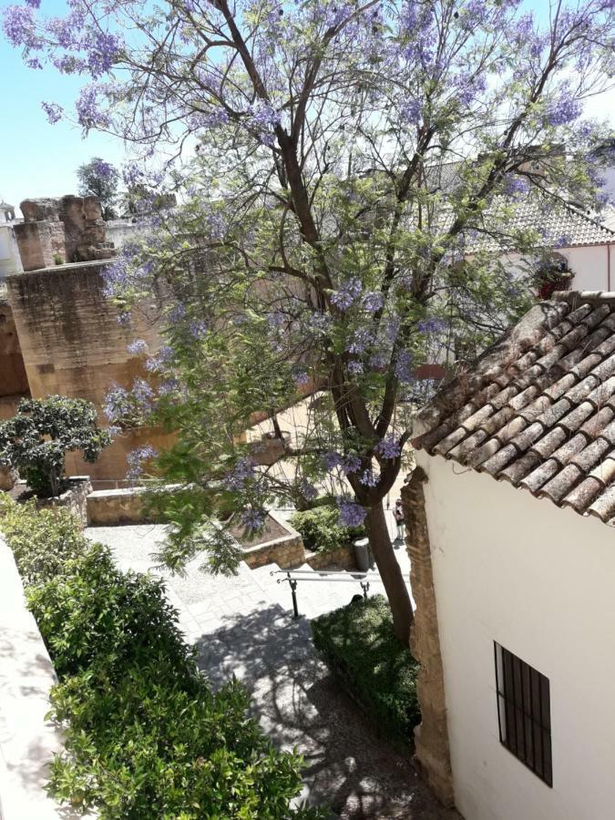 Los Tejares Del Alcazar Кордова Экстерьер фото